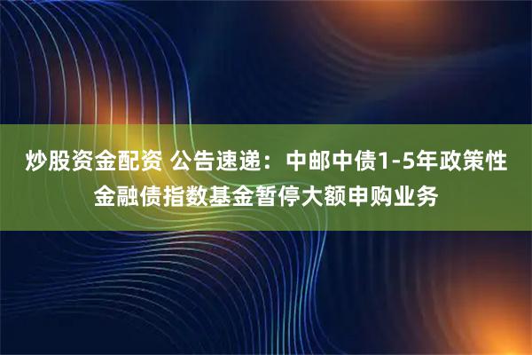 炒股资金配资 公告速递：中邮中债1-5年政策性金融债指数基金暂停大额申购业务
