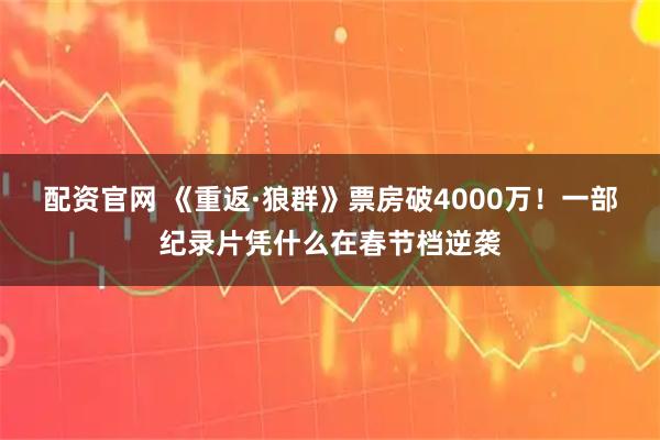 配资官网 《重返·狼群》票房破4000万！一部纪录片凭什么在春节档逆袭