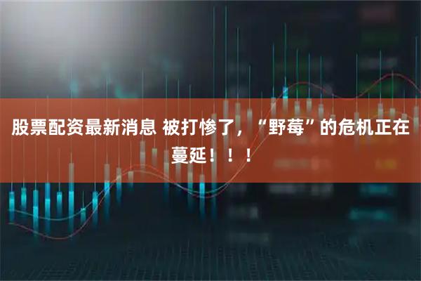 股票配资最新消息 被打惨了，“野莓”的危机正在蔓延！！！